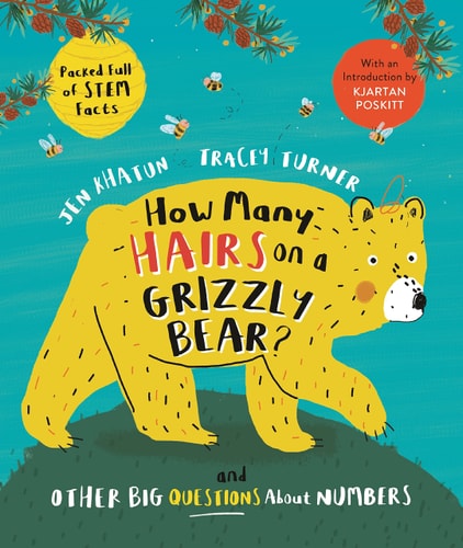 How Many Hairs On A Grizzly Bear?: And Other Big Questions About Numbers
