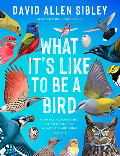 What It'S Like To Be A Bird (Adapted For Young Readers): From Flying To Nesting, Eating To Singing-What Birds Are Doing And Why